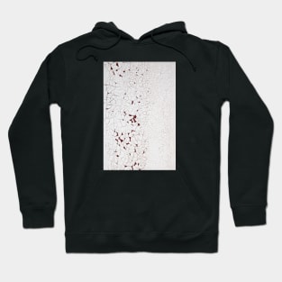 Cracked painting texture 5 Hoodie